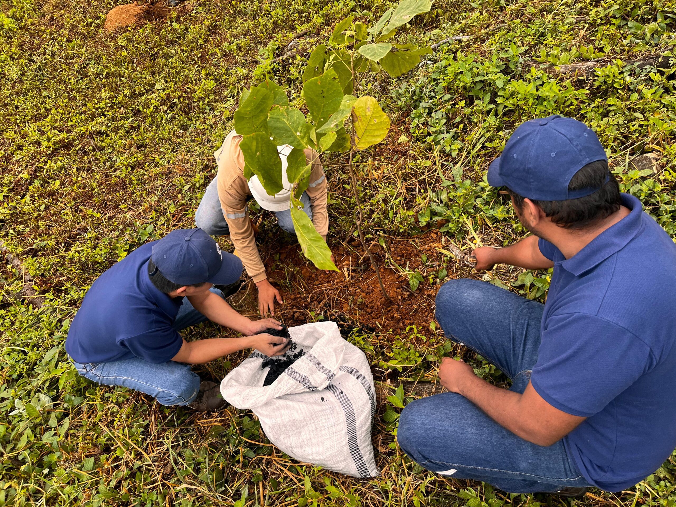 WhatsApp Image 2025-06-05 at 5.55.17 PM (1)