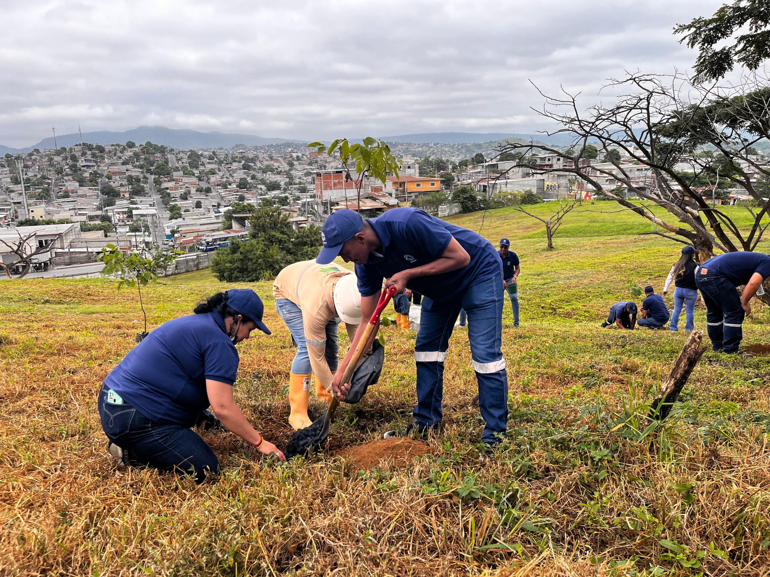 WhatsApp Image 2025-06-05 at 5.55.18 PM (1)