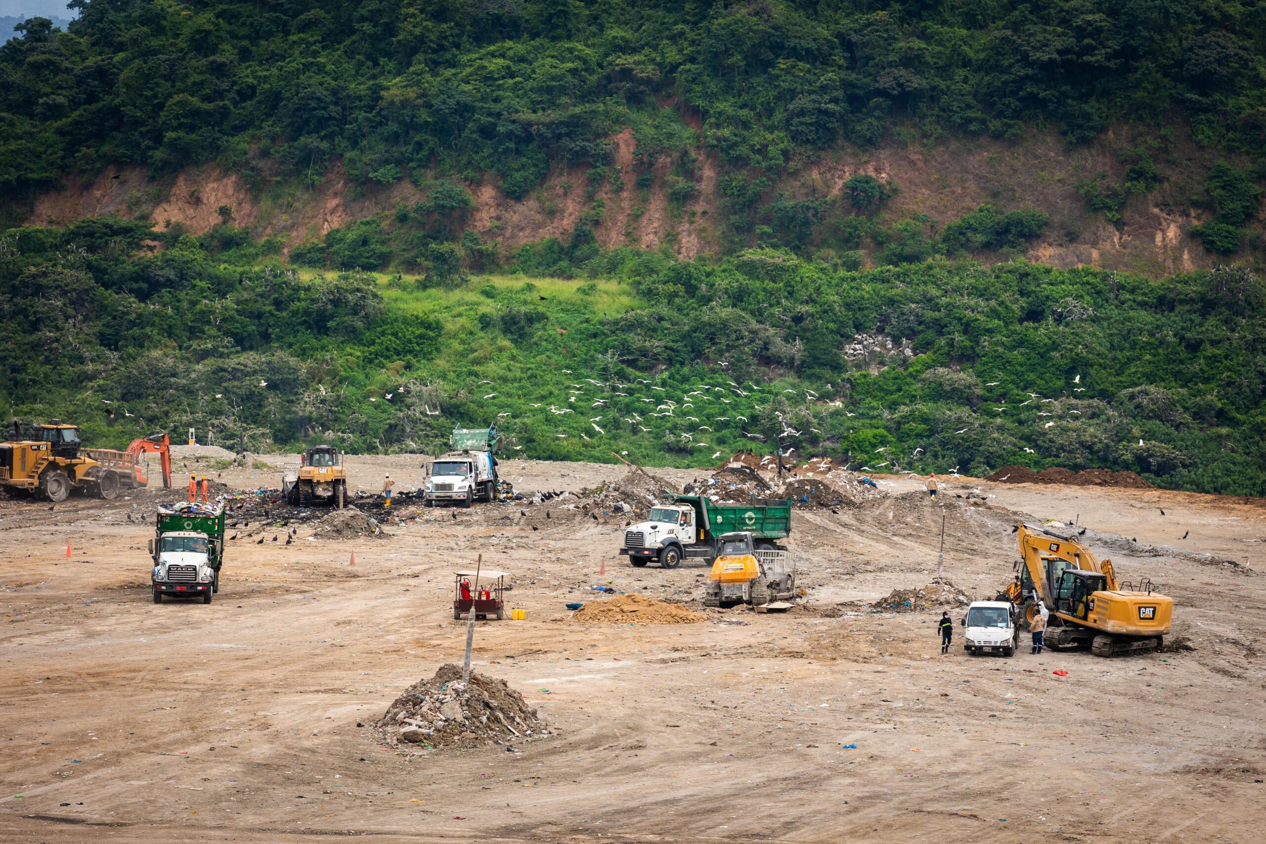 WhatsApp Image 2026-04-09 at 13.07.25 (2)